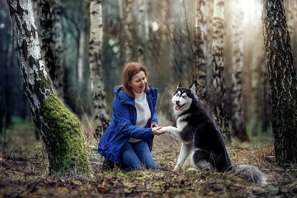 Instrumentariuszka w granatowej kurce z psem rasy husky podczas spaceru w lesie, pies podaje pani łapę
